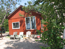 Cabin 11